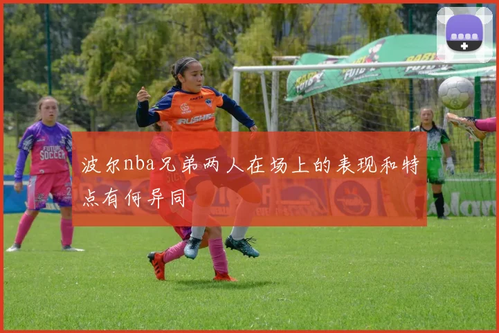 波尔nba兄弟两人在场上的表现和特点有何异同