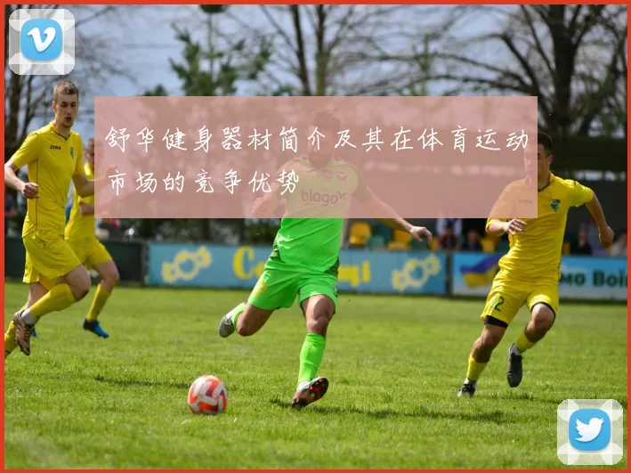 舒华健身器材简介及其在体育运动市场的竞争优势